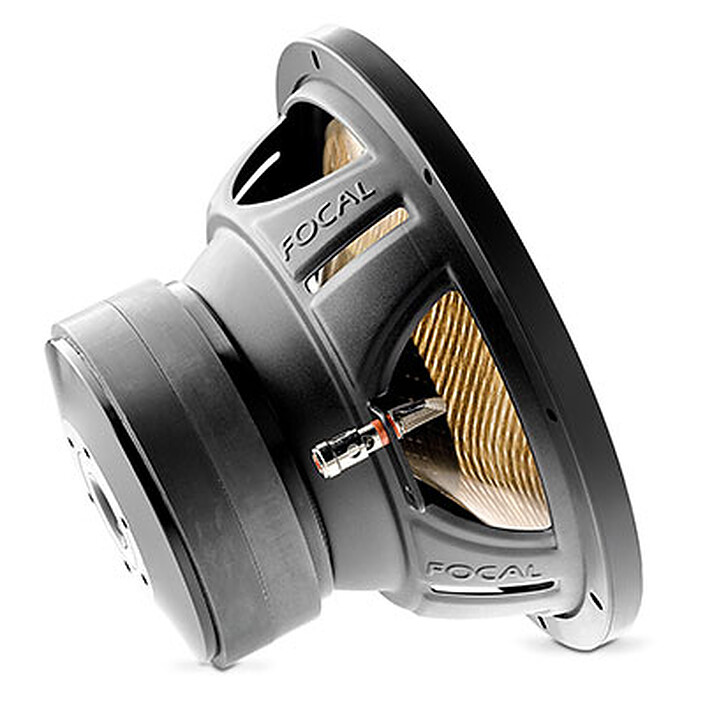 Review Focal P 25 FE Flax Evo