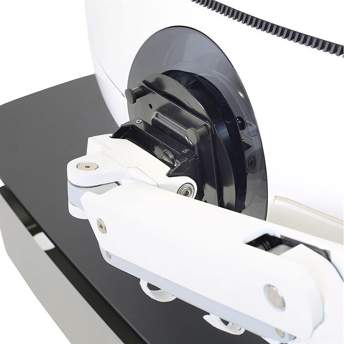 Arm & Mount