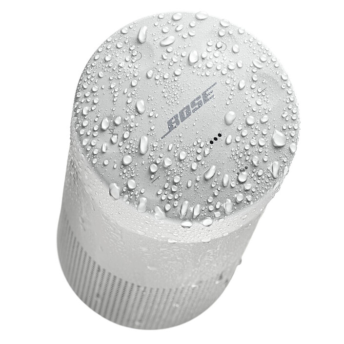 Review Bose SoundLink Revolve II Luxury Silver
