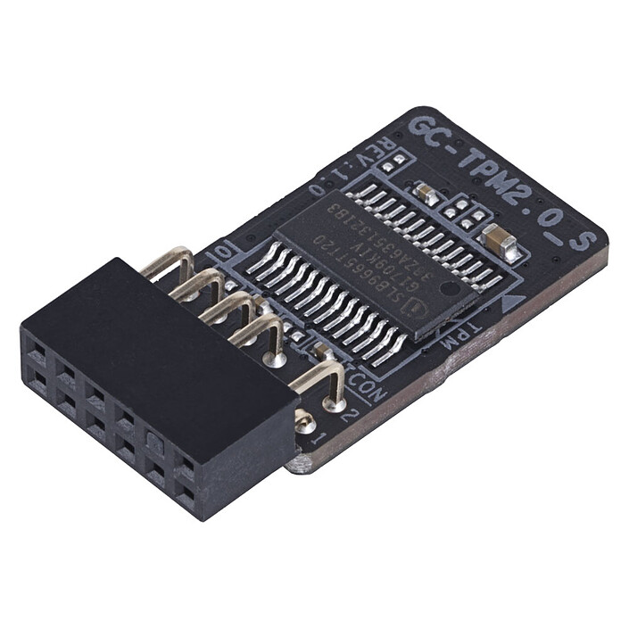 Gigabyte GC-TPM2.0_S