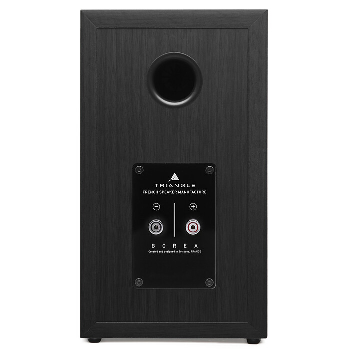cheap Sherwood RX-4208 Triangle Borea BR02 Black