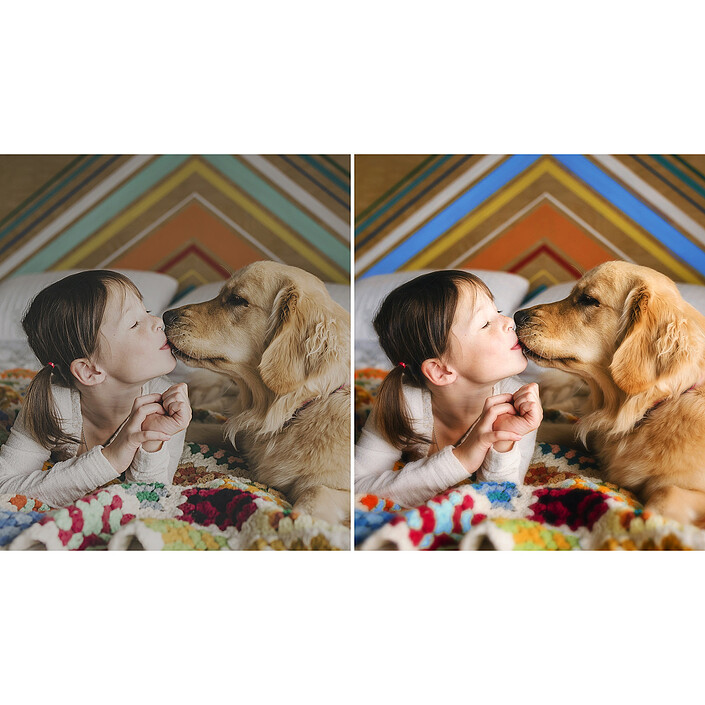 cheap Adobe Photoshop Elements 2021 - Perpetual license - 1 user - Boxed version