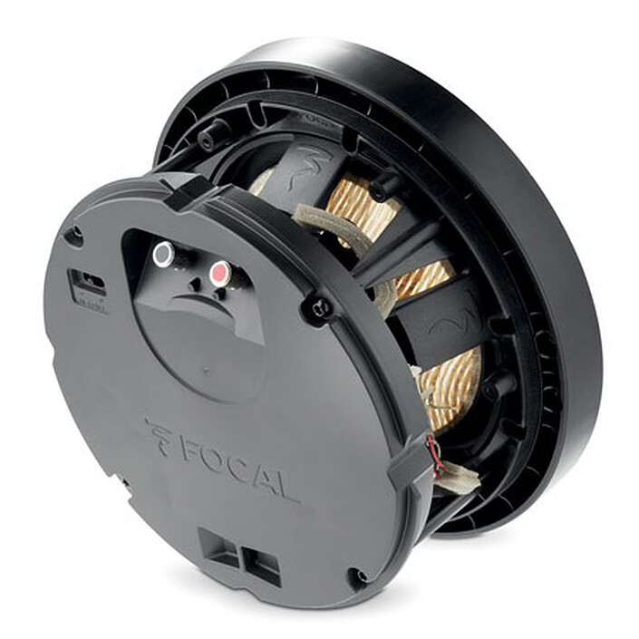 Buy Focal 300 ICW 8