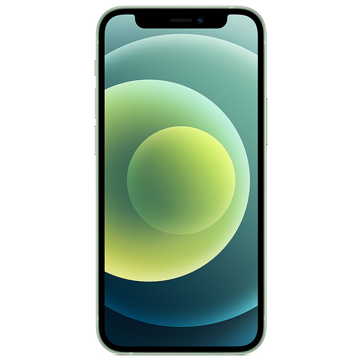 Apple iPhone 12 mini 256 Go Vert (MGEE3F/A) · Reconditionné