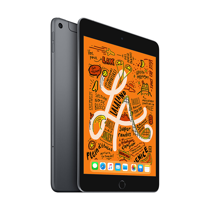 Apple iPad mini 5 Wi-Fi + Cellular 64 Go Gris Sidéral