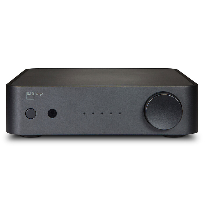 NAD AMP1
