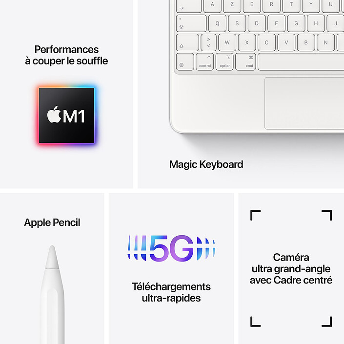 Acheter Apple iPad Pro (2021) 11 pouces 512 Go Wi-Fi + Cellular Gris Sidéral