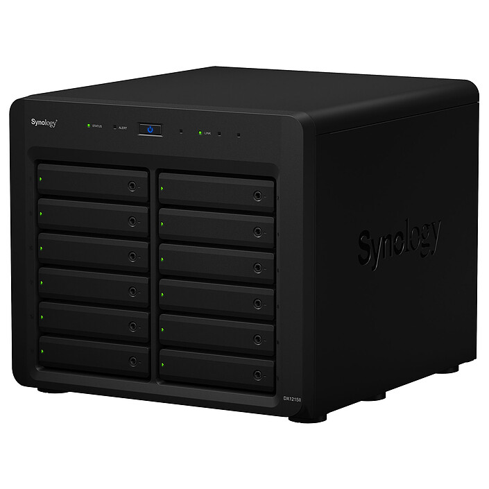 Acheter Synology DX1215II