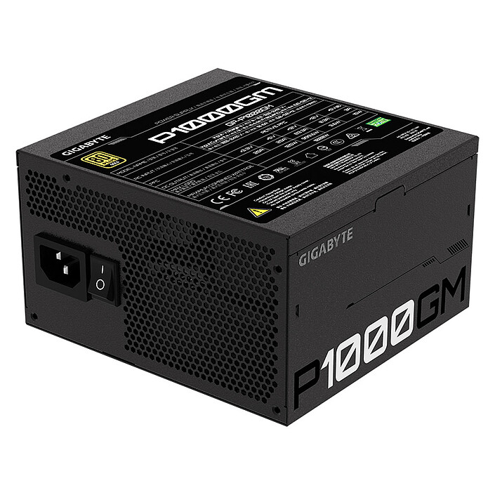 Gigabyte GP-P1000GM - PC power supply - LDLC | Holy Moley