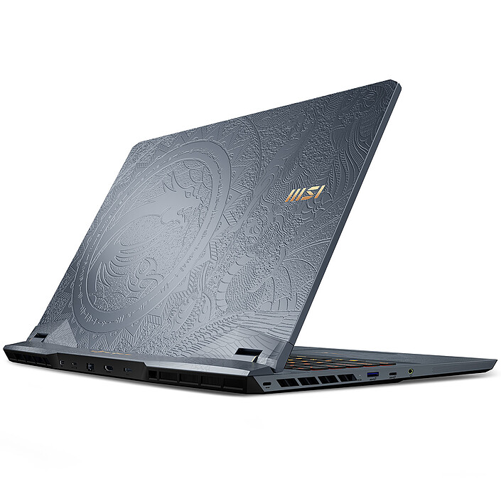 Acheter MSI GE76 Raider 11UG-272FR Dragon Edition Tiamat