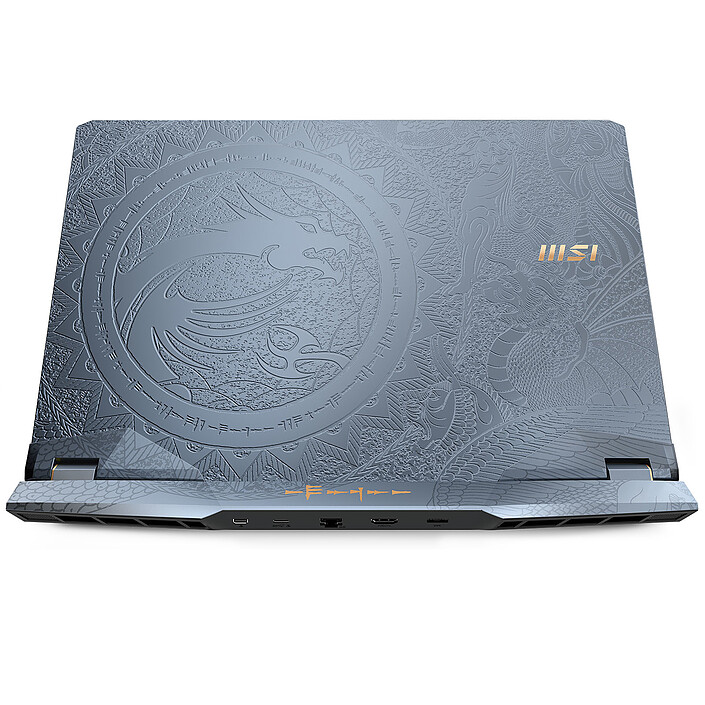 MSI GE76 Raider 11UG-272FR Dragon Edition Tiamat pas cher