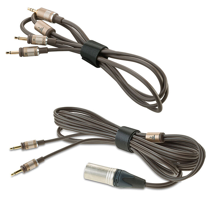 cheap Focal Clear MG