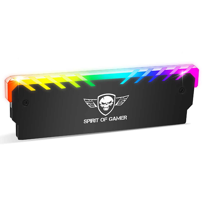 Spirit of Gamer Heatsink RGB Memory