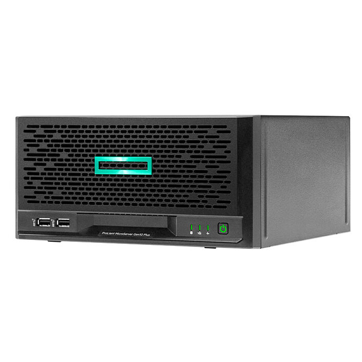 HPE ProLiant MicroServer Gen10 Plus (P16005-421)