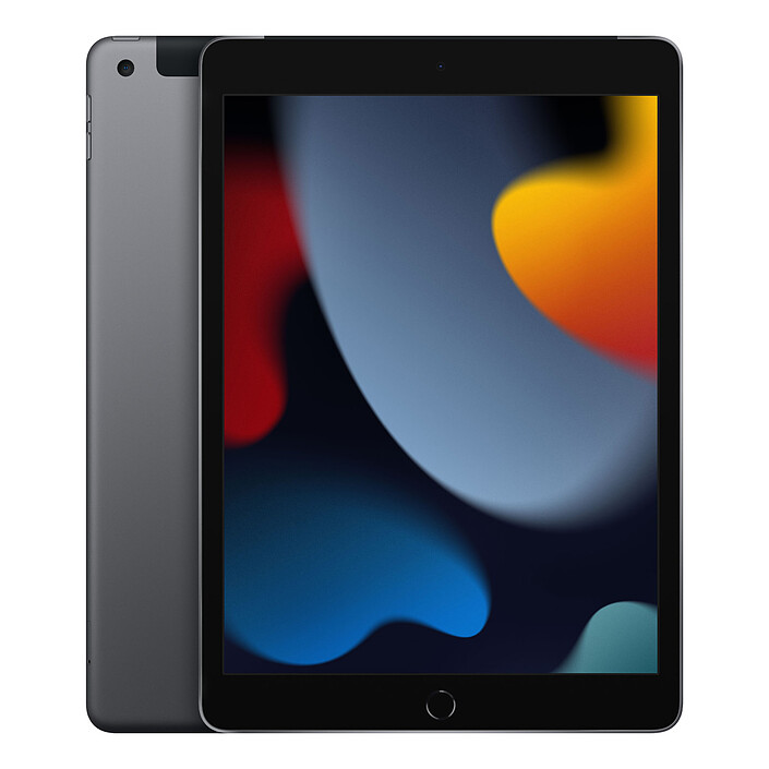 Apple iPad (2021) 256 Go Wi-Fi + Cellular Gris Sidéral · Reconditionné