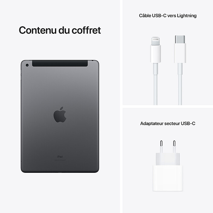 Apple iPad (2021) 256 Go Wi-Fi + Cellular Gris Sidéral · Reconditionné pas cher