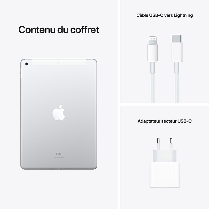 Apple iPad (2021) 256 Go Wi-Fi + Cellular Argent pas cher