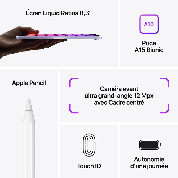 Acheter Apple iPad mini (2021) 64 Go Wi-Fi Mauve