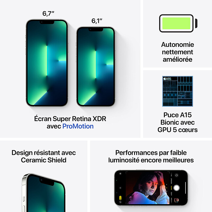 Acheter Apple iPhone 13 Pro 256 Go Argent (MLVF3F/A)