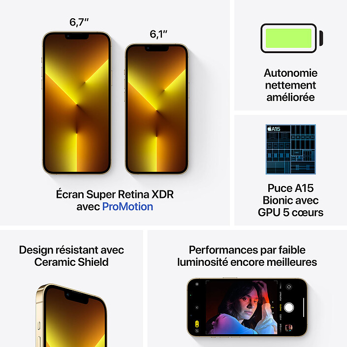 Acheter Apple iPhone 13 Pro Max 256 Go Or (MLLD3F/A) · Reconditionné