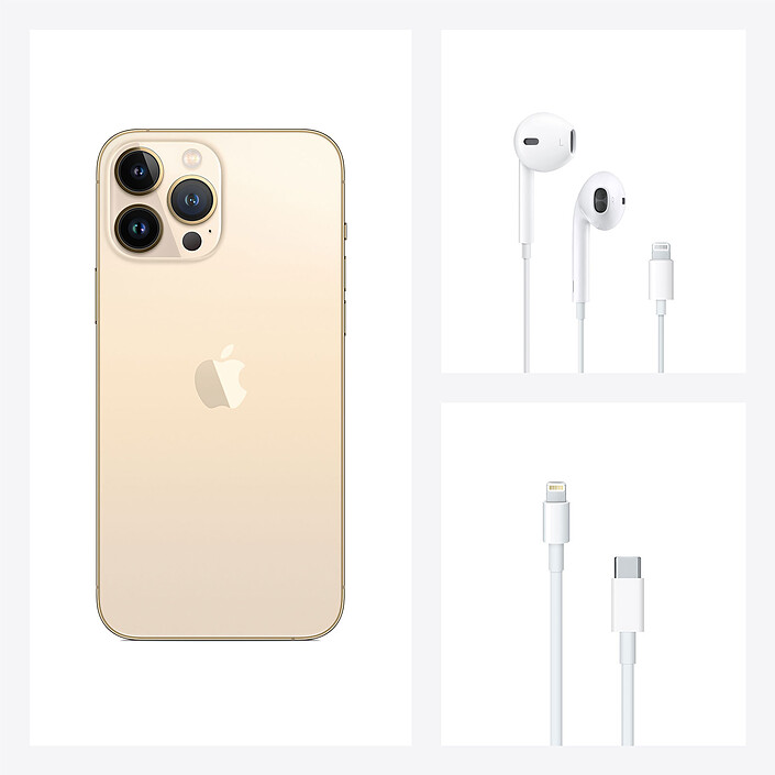 Apple iPhone 13 Pro Max 1Tb Gold - Mobile phone & smartphone
