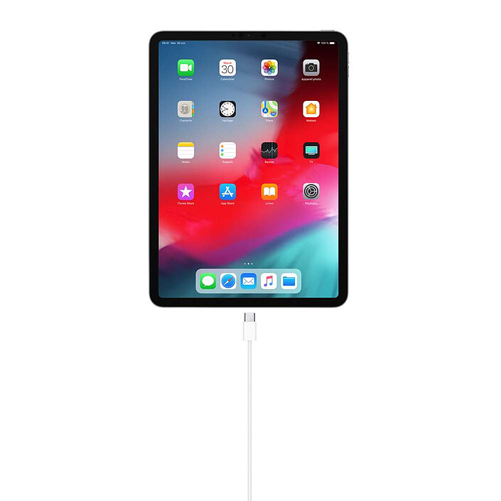 Avis Apple Câble de charge USB-C (1 m)