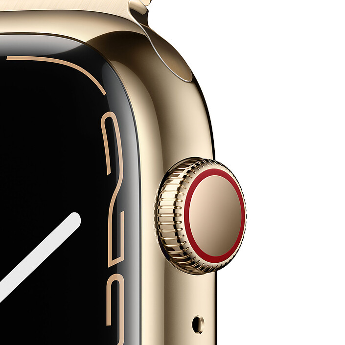Review Apple Watch Series 7 GPS + Cellular Gold Stainless Gold Milanese Loop 45 mm