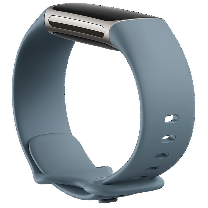 Buy Fitbit Charge 5 Blue Steel/Platinum