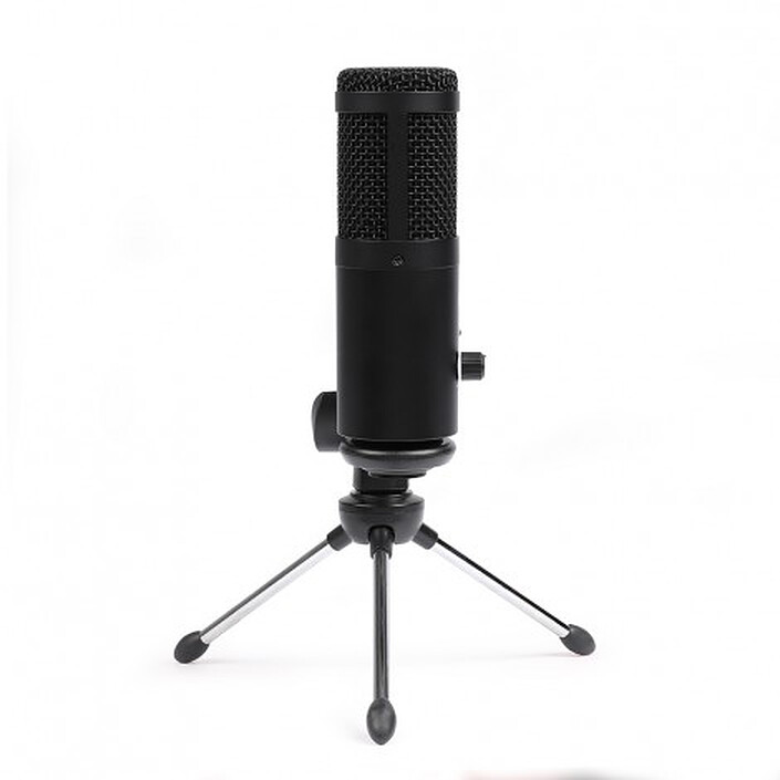 Microphone