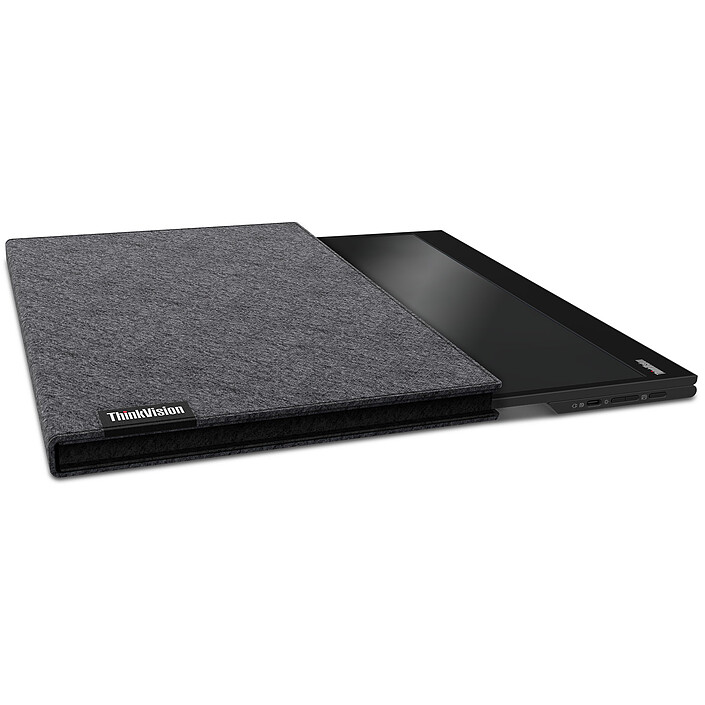 Acheter Lenovo 15.6" LED - ThinkVision M15