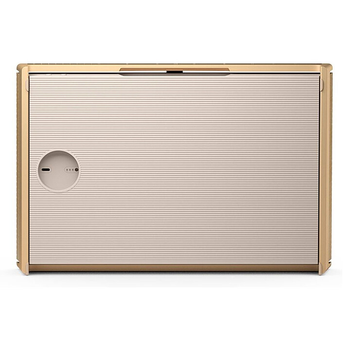 Acheter Bang & Olufsen Beosound Level Or / Chêne Clair