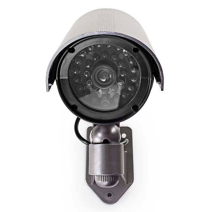 Cámara de vigilancia