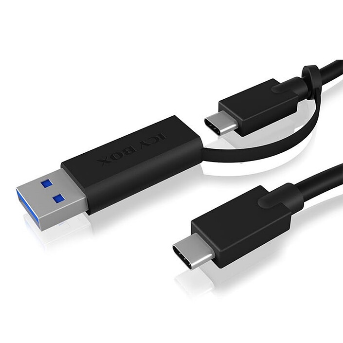 Avis ICY BOX IB-CB031