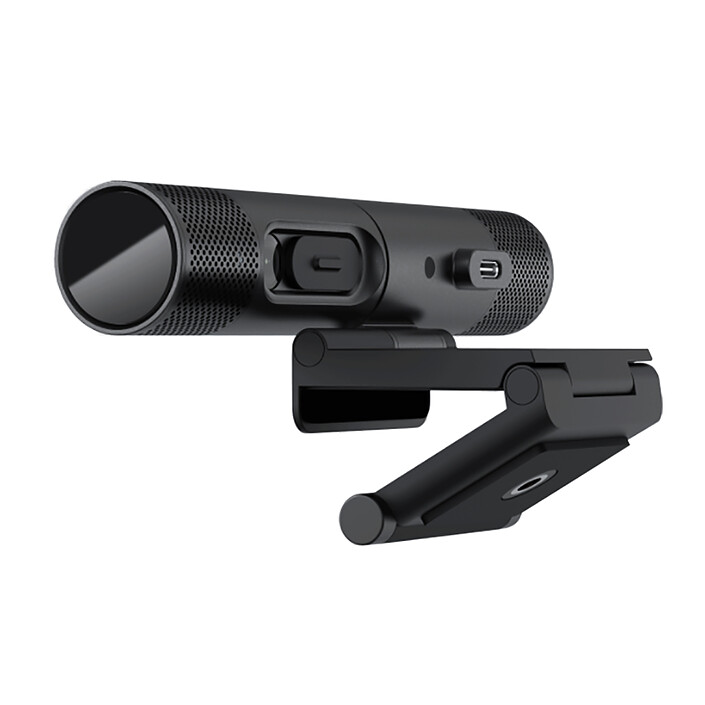 AVerMedia DualCam (PW313D) pas cher