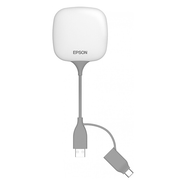 Epson ELPWP20 pas cher