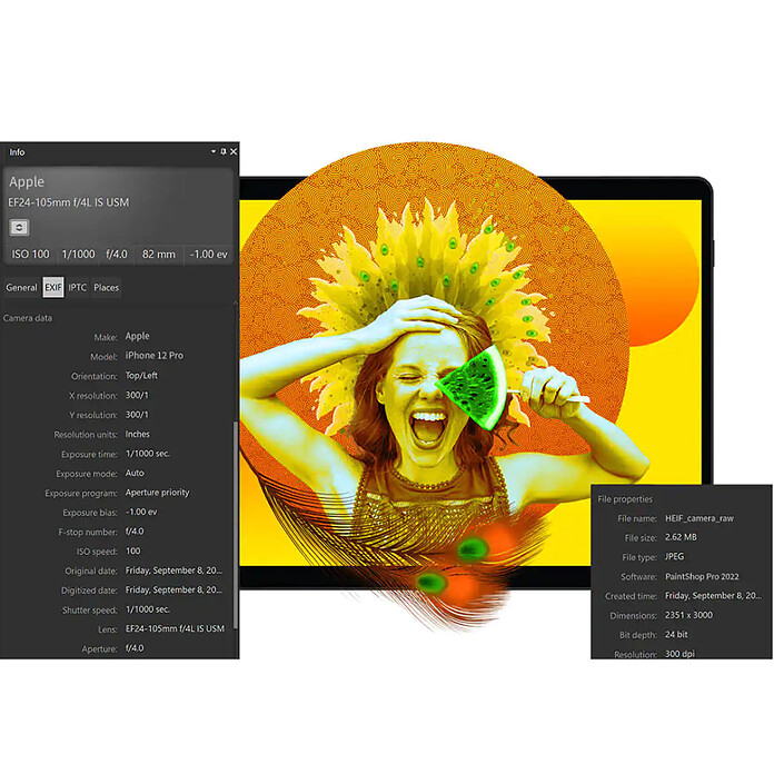 Acheter Corel PaintShop Pro 2022 - 1 utilisateur - Version mini boîte
