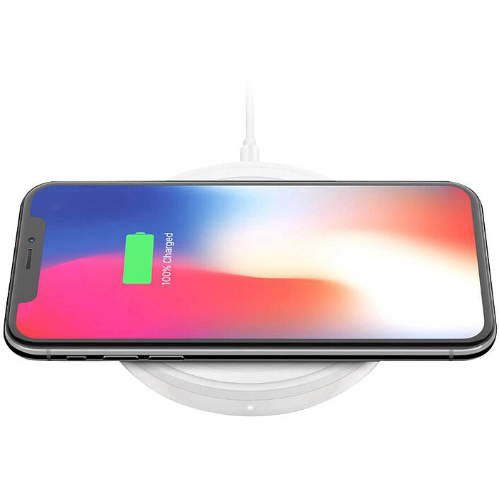 Buy Belkin Boost Charge 10W Induction Charger for Google Pixel 3 and Pixel 3 XL with AC adapter (White)