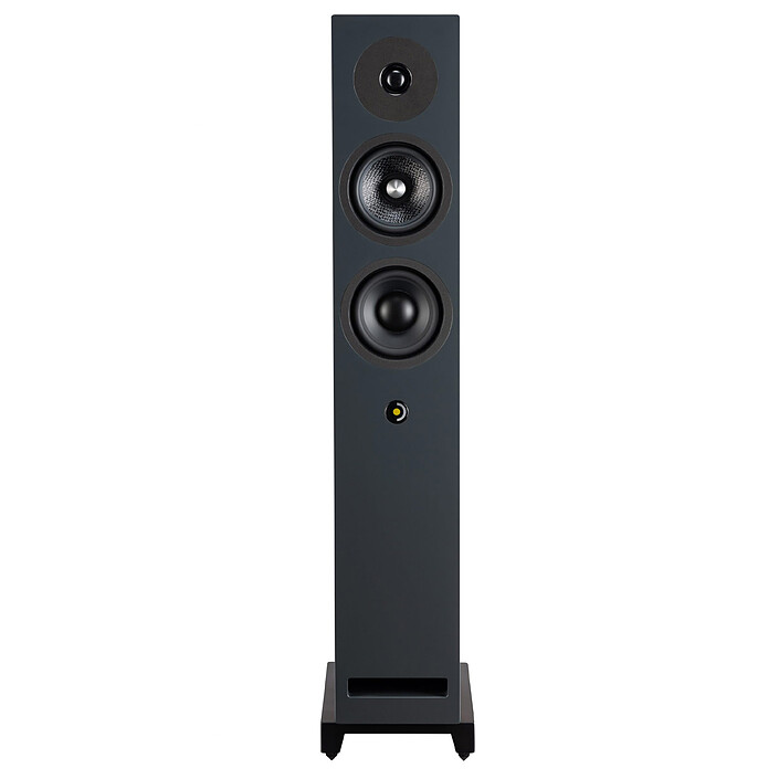 Review Davis Acoustics Krypton 6 Walnut