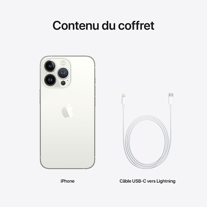 Apple iPhone 13 Pro 256 Go Argent pas cher