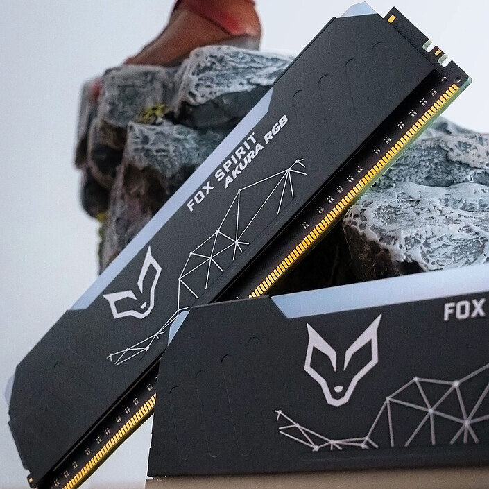 Acheter Fox Spirit Akura RGB 32 Go (2x 16 Go) DDR4 3600 MHz CL18