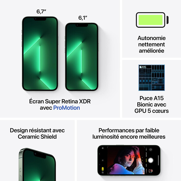 Acheter Apple iPhone 13 Pro Max 256 Go Vert Alpin · Reconditionné
