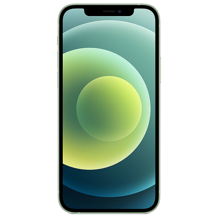 Apple iPhone 12 128 Go Vert · Reconditionné