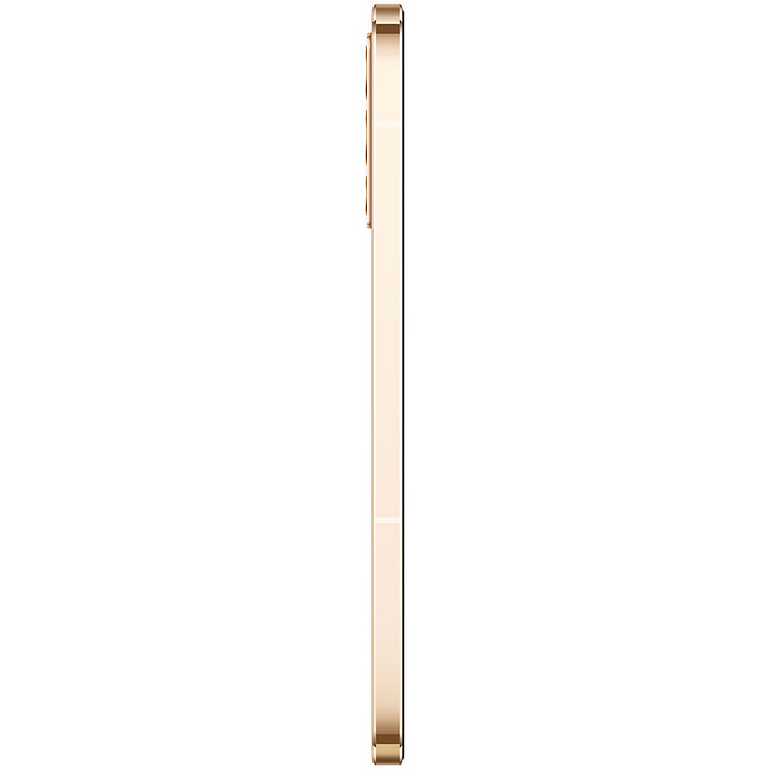Nota Vivo V23 5G Gold Sparkle