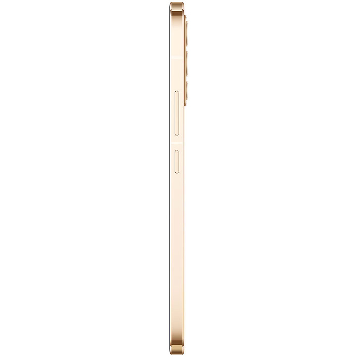 Acquista Vivo V23 5G Gold Sparkle