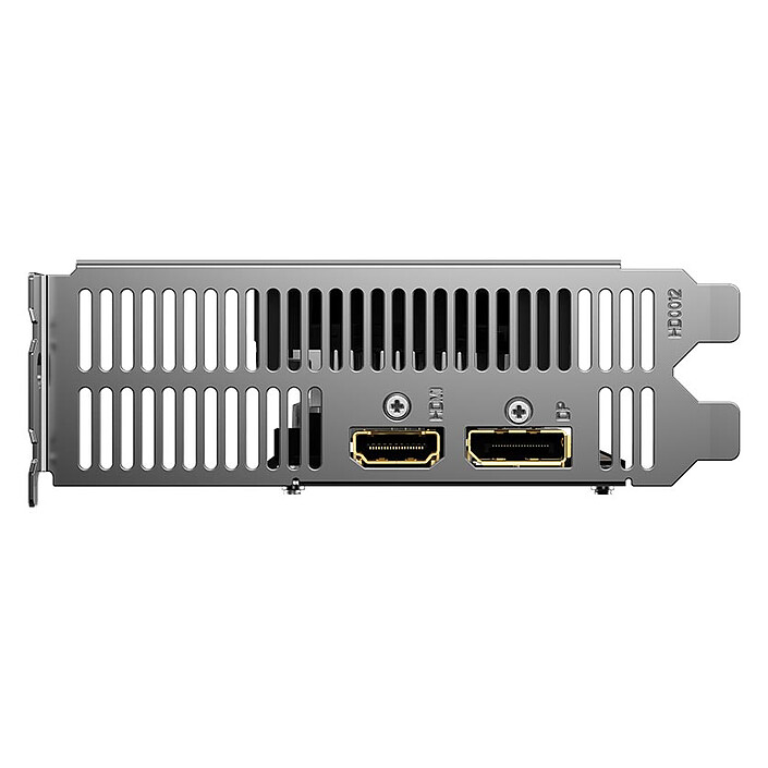 Gigabyte Radeon RX 6400 D6 Low Profile 4G pas cher