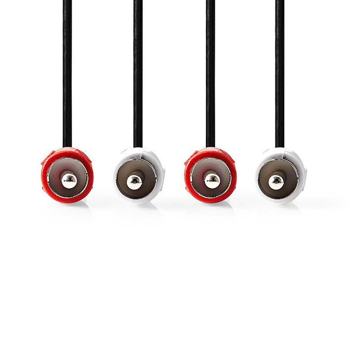 Câble audio RCA