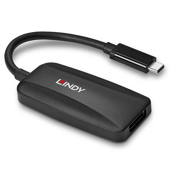 Convertitore Lindy da USB Tipo C a DisplayPort 1.4