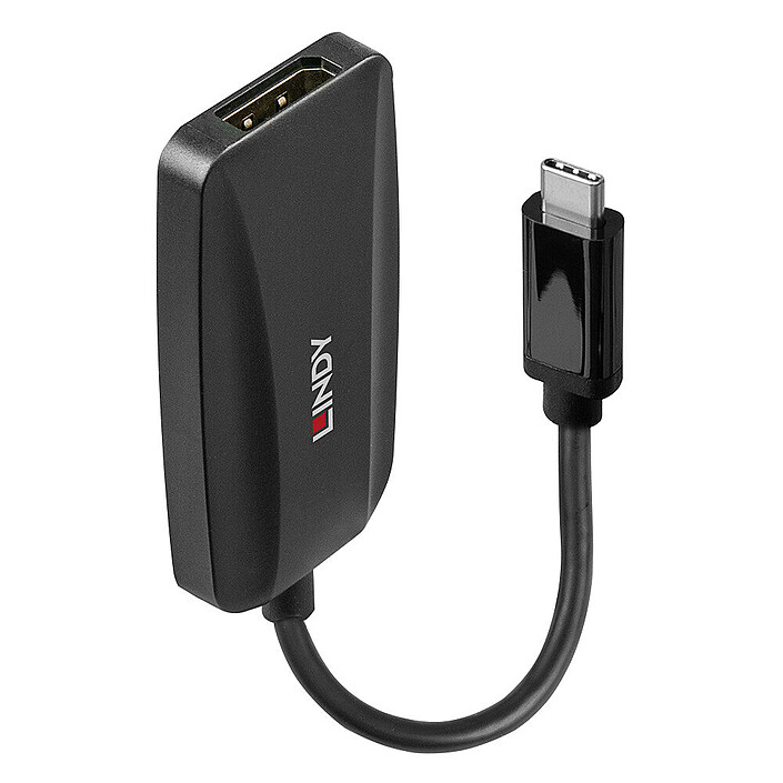 Convertitore Lindy da USB Tipo C a DisplayPort 1.4 economico