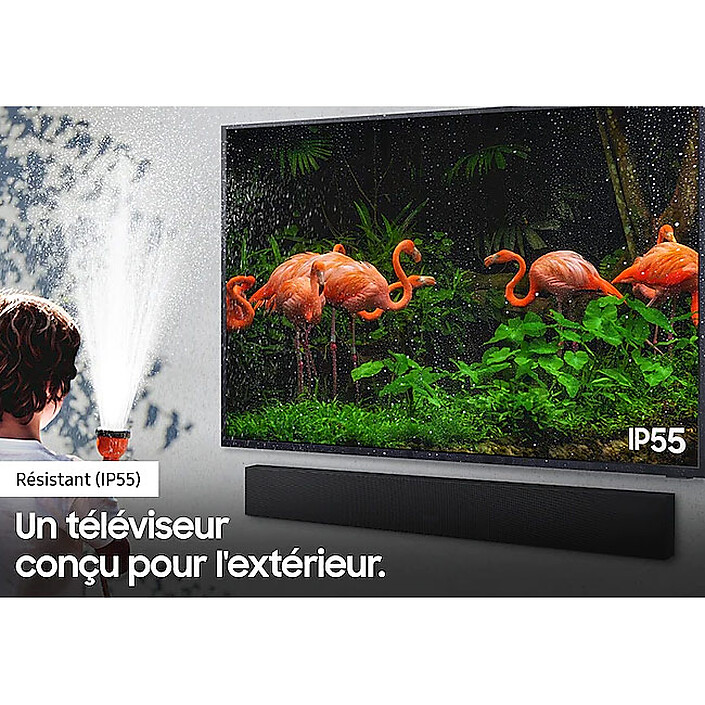 Acquista Samsung The Terrace QE65LST7T