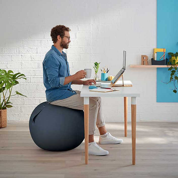 Comprar Bola de asiento Leitz Ergo Cosy - Gris